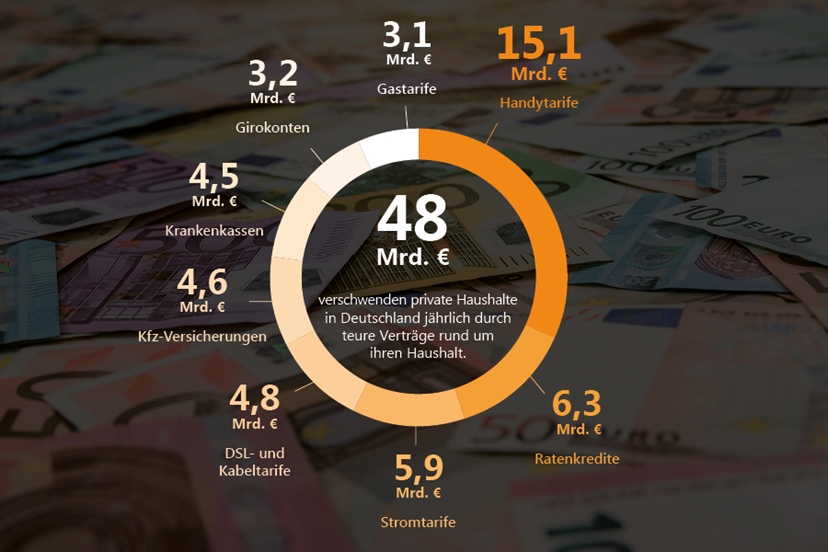 Geldverschwendungsreport Infografik